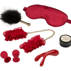 Sinful Women’s Pleasure Box- Tilbehør|Sexlegetøj